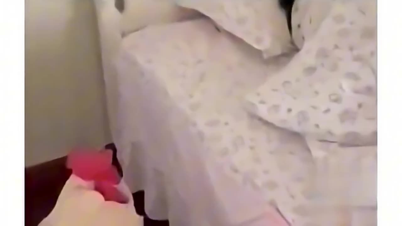 Bitch... GET UP