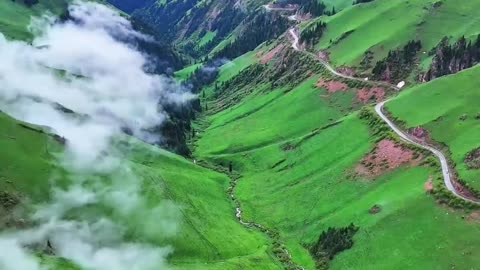 ✨ The Peaceful Morning That Touches the Soul