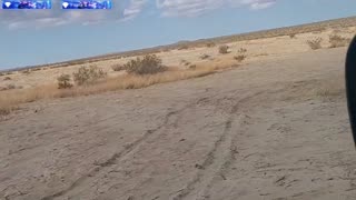 🔴POWERSPORTS, FESTS, SIMS/GAMING, COMEDY, TRAVELNSHEZ