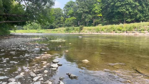 Humber River low flow