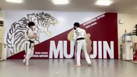 Hapkido