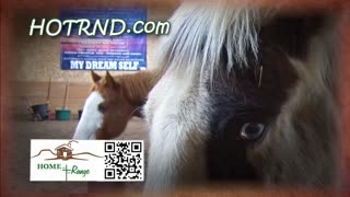 Trent Loos in the Morning 7/7/2025