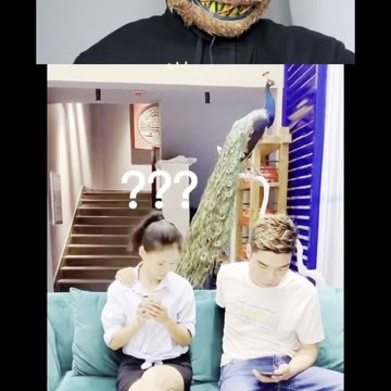 Funny video reaction 😂😂😂