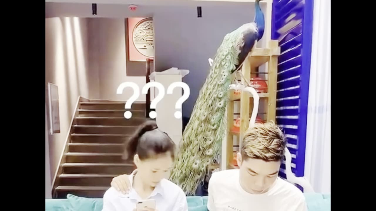 Funny video reaction 😂😂😂