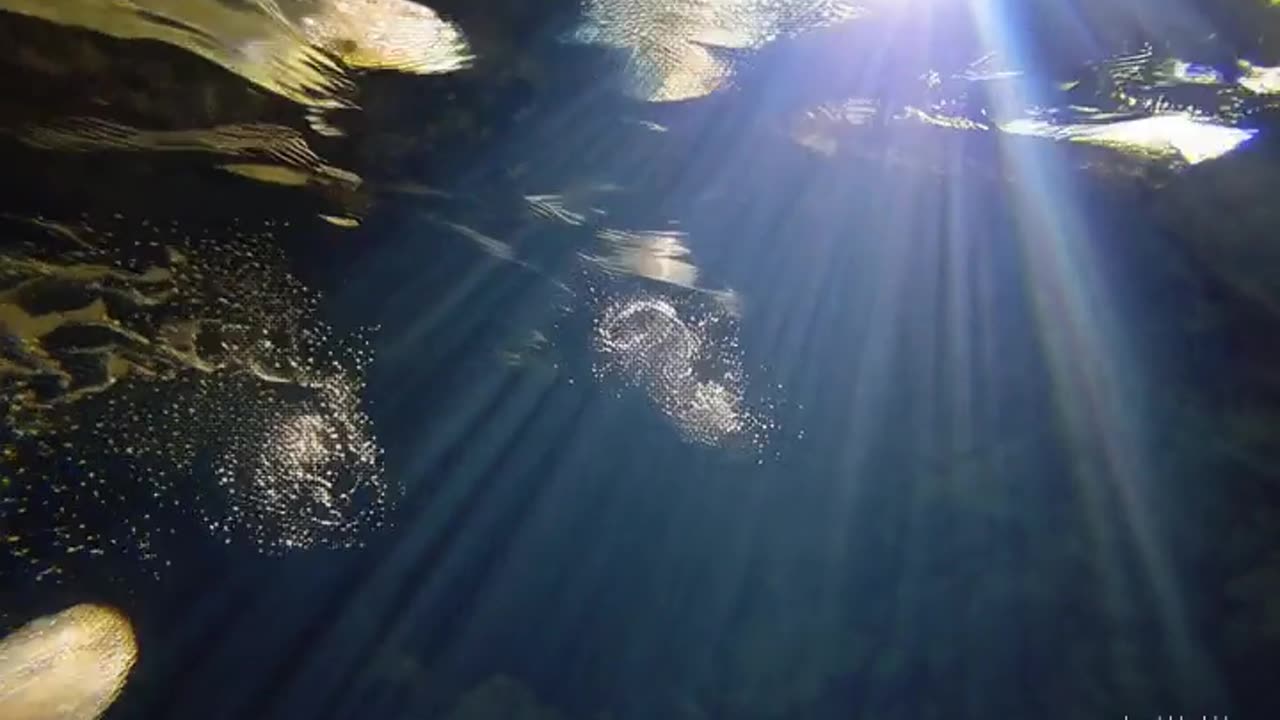 24•31•27•25•21•5 21•4•32•31•27•17•31•17•23