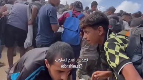Distributing the aid in Gaza by Israel and America by shooting on hungry people!