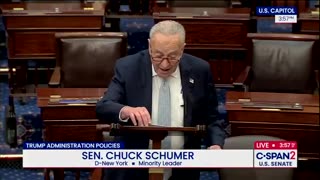 Chuck Schumer is wailing about President Trump's historic trade deal with the EU