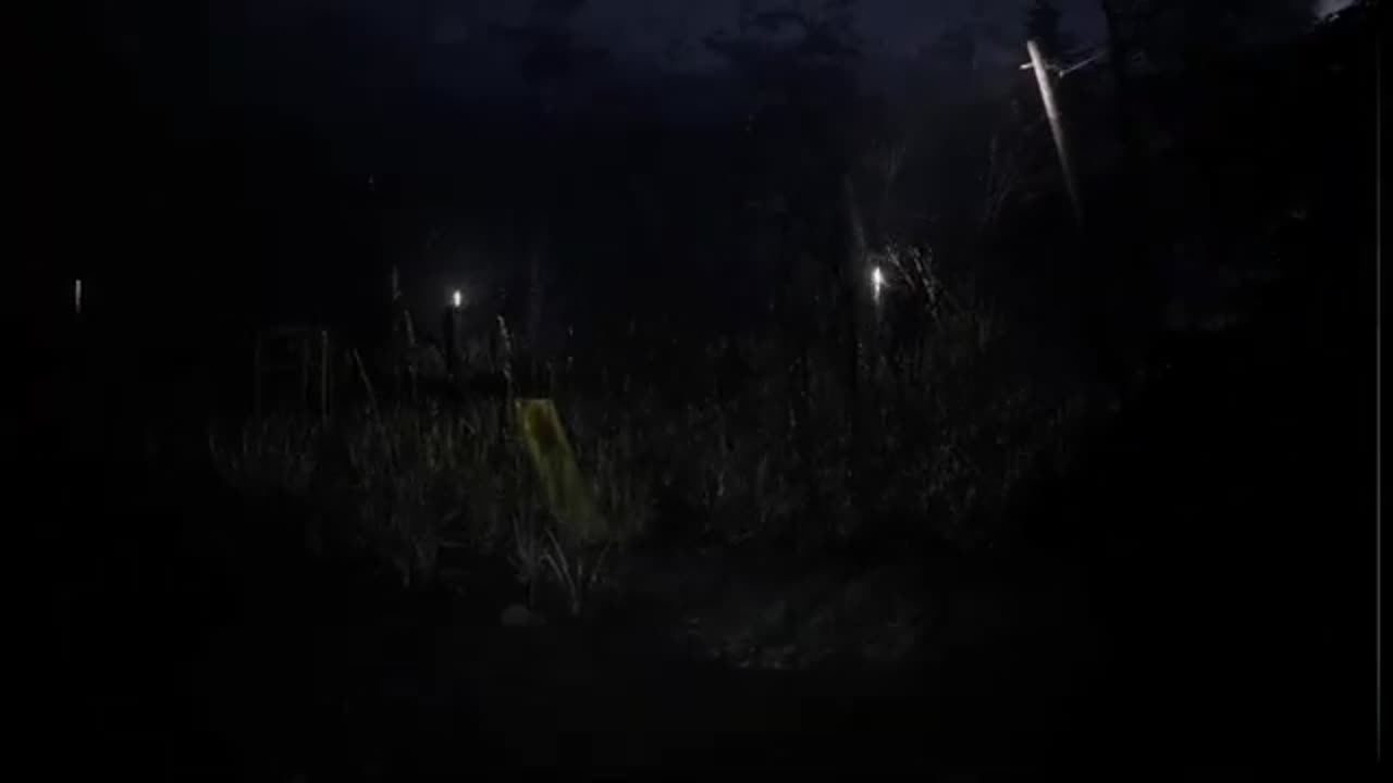 Forest 6174 | Full Game | Gameplay
