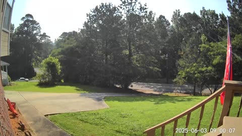 Professional Lawn Maintenance