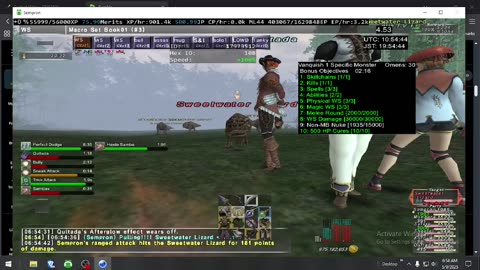 Playing Final Fantasy XI Online