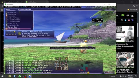Playing Final Fantasy XI Online