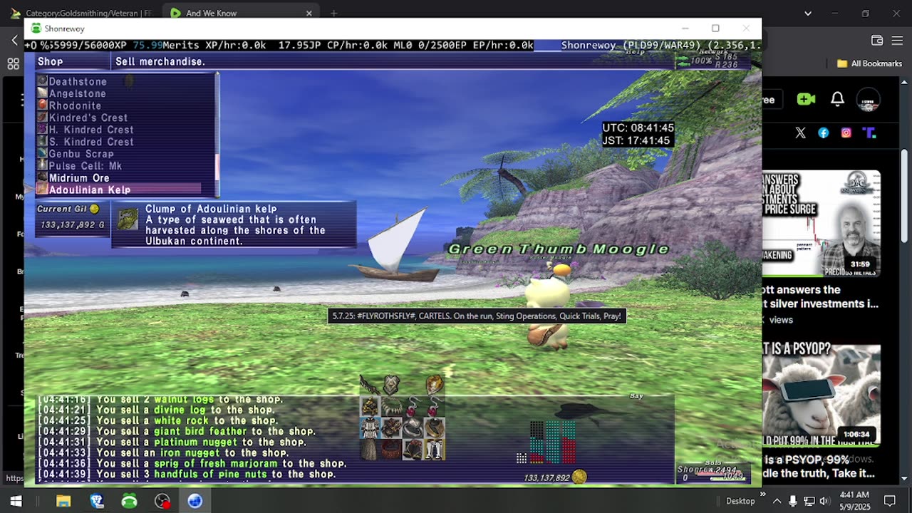 Playing Final Fantasy XI Online