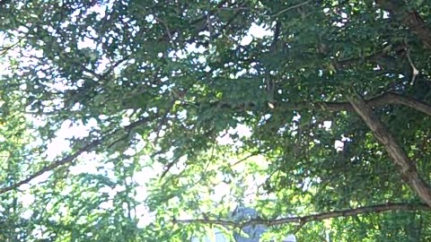 KITCHEN ON PENNINGTON ST ENJOY THE SHEA SHOW