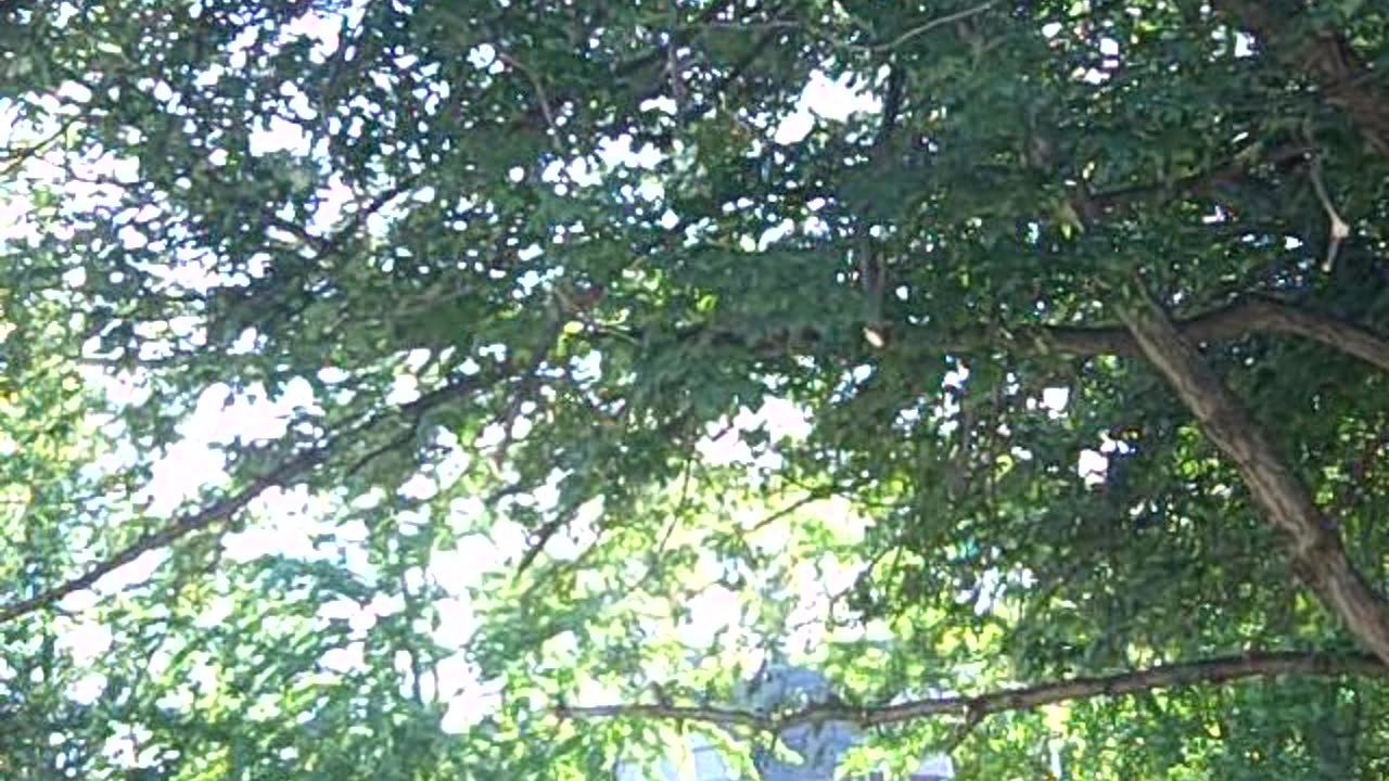 KITCHEN ON PENNINGTON ST ENJOY THE SHEA SHOW