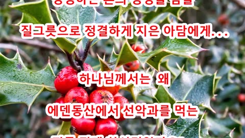 BOJ 지구촌 대특종 제8편. 선악과를 왜 만드셨나