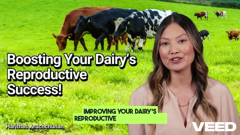 Boost Dairy Reproductive Success Today