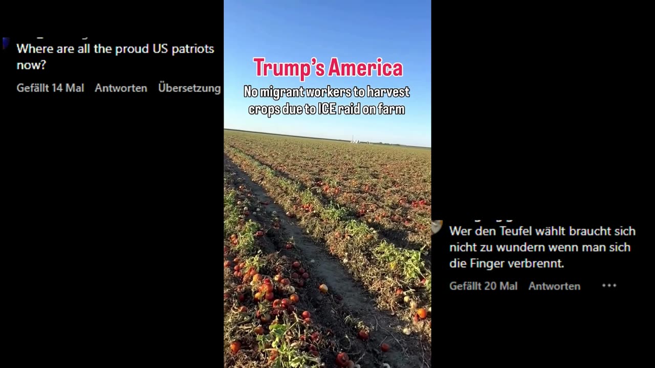 Stupid Trump Part 2 - Economy