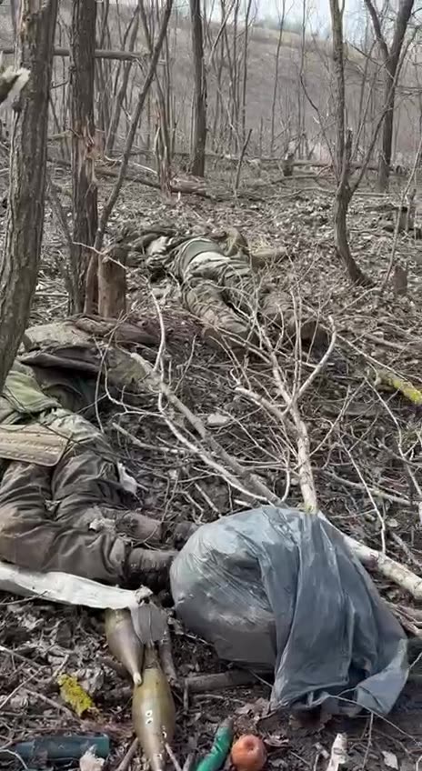 His Gear Said "German"