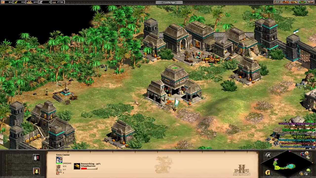 PC Longplay - Age of Empires II HD Edition - WW - 29-50