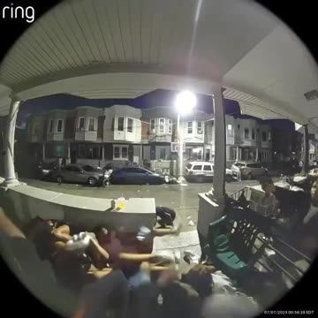 Diversity from this mortal coil