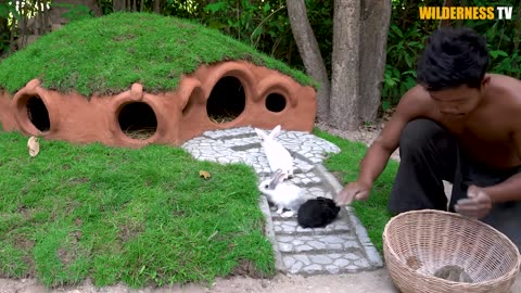 Rescue Rabbit And Turtle Build Hobbit House And Turtle Pond As Pet Building