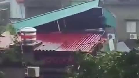Must Watch: Storm Milton Hits Florida #shorts #hurricane #storm #tornado #typho