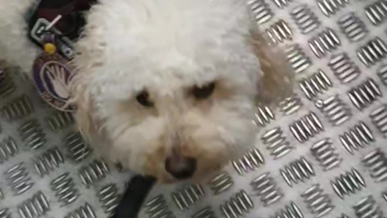 Entering exiting lift (elevator) with metallic floor, passing suitcase on wheels, exiting ticket barrier