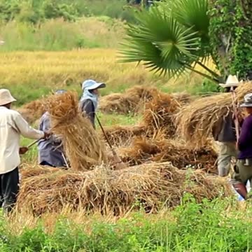 Anant Ambani is wonder, cow dung fuels the future of green energy. #SustainableFuture #anantdadadt