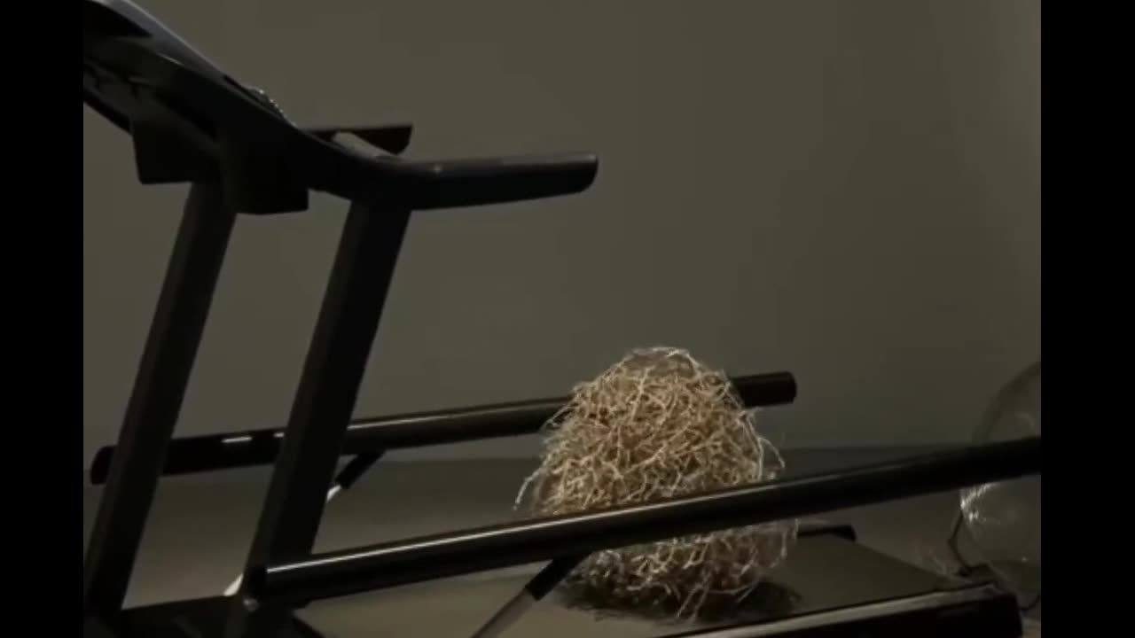 tumbleweed on treadmill with fan