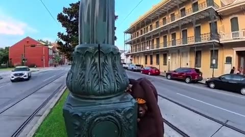 🐜😂 They Found the Uninvited Guests! Roach Invasion Fail | FunFM