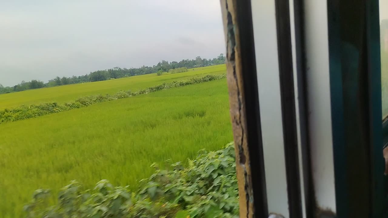 LIVE: Mesmerizing Train Journey Through | Scenic Railway Ride with Natural Sounds