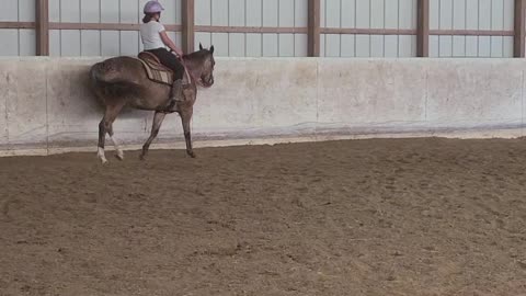 Standing trot for Ranch classes
