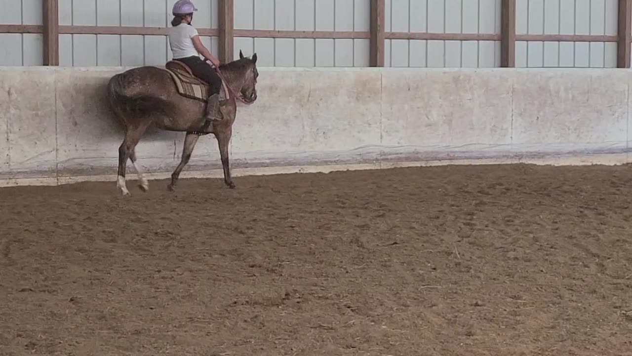Standing trot for Ranch classes