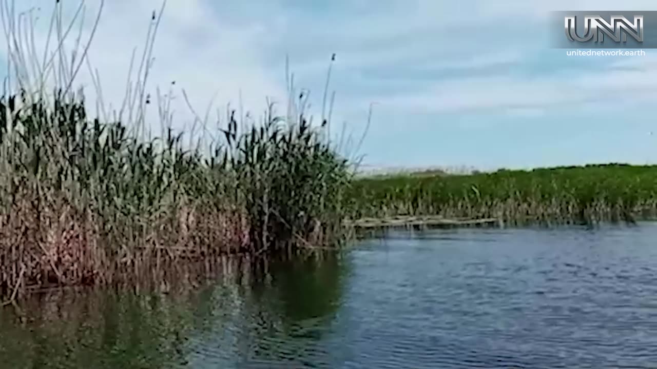 Monica explores Romania's Danube Delta, a haven of wetlands, wildlife, and adventure!