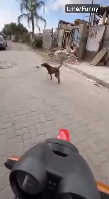 The Hunter is now the Hunted