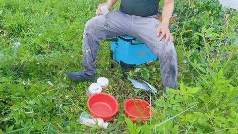 Rotfeder im Morgenlicht Der perfekte Köder #Rotfederfischen #Angelspaß #Outdoor