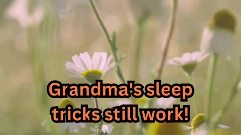 Insomnia Facts #AncientWisdom 📜 #SleepBetter 😴 #OldSchoolTips 🌙 #NapTime 🛏️ #ZenMode 🧘