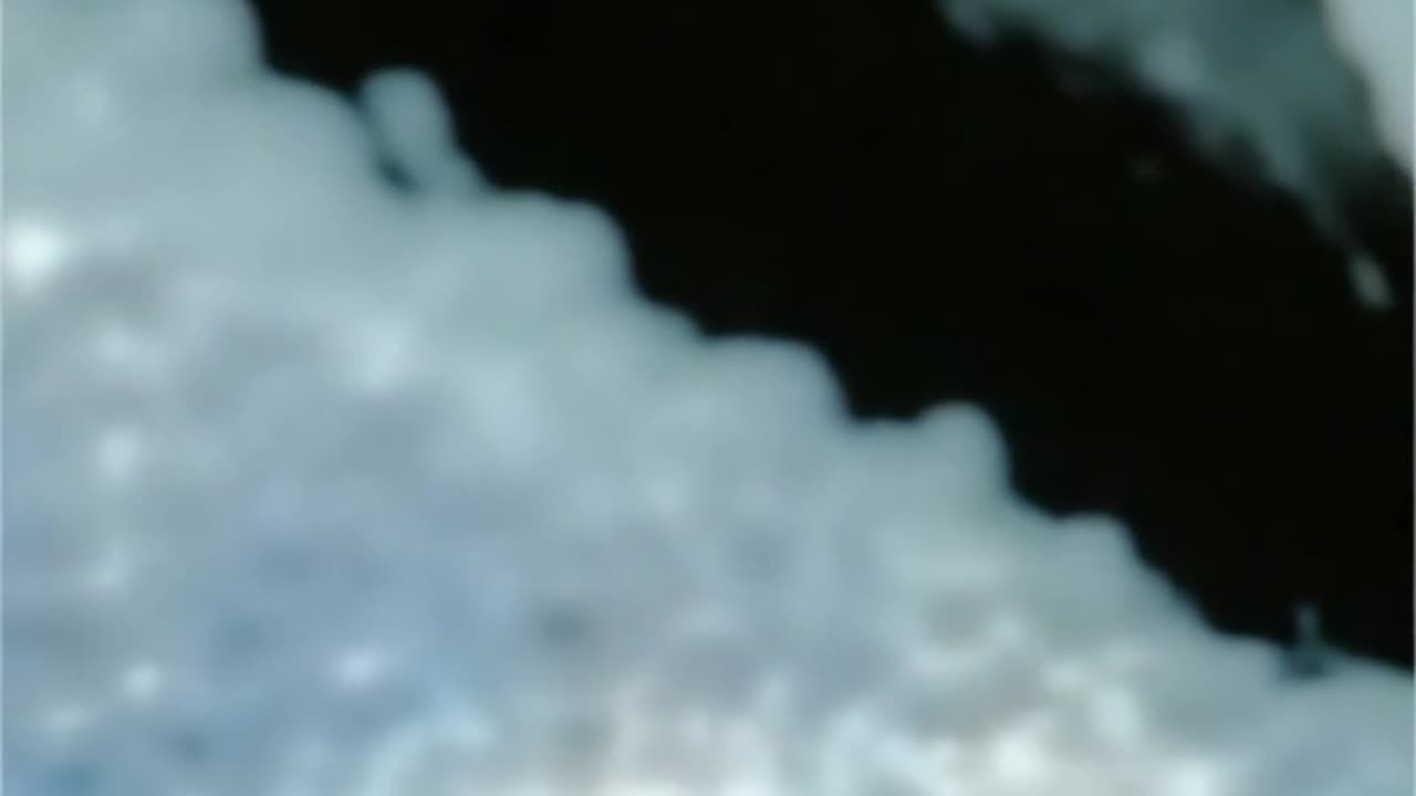 WAV - Odd Ball Celebration