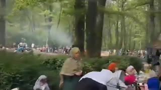 "This is not Germany I grew up in." Native German shocked by what he sees in German forests.