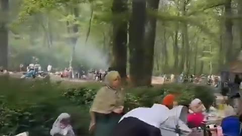 "This is not Germany I grew up in." Native German shocked by what he sees in German forests.