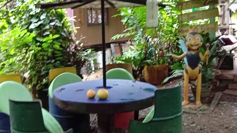 BEE FARM AND VIETNAMESE PHO IN PALAWAN 2025