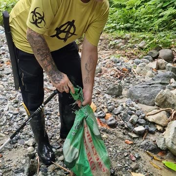 Fresh Avocado Harvest from the Jungle 🌿 | Expat Farm Life in the Philippines