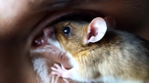 😨🤖 The Scary Side of Artificial Intelligence | TheHauntingHour