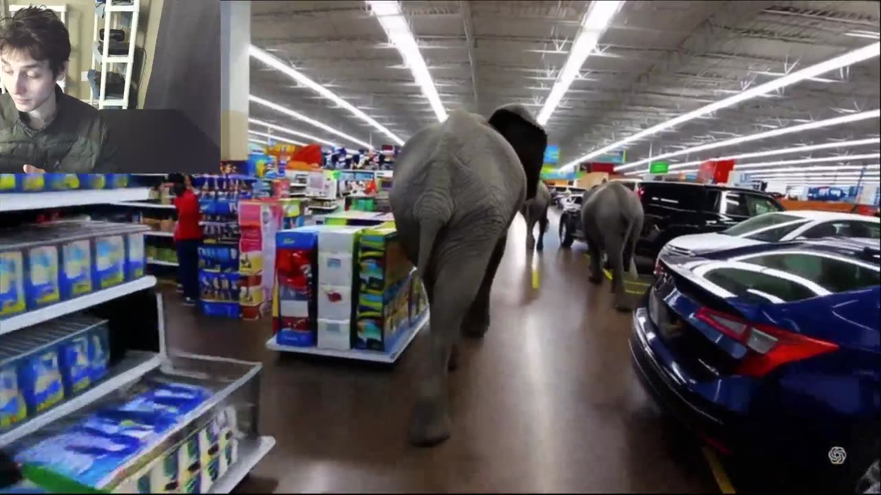 Outtake #1,015 Of Elephants Roam Around A Walmart Supercenter Fake Funny Parody Video