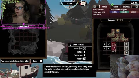 Chicken Live Stream