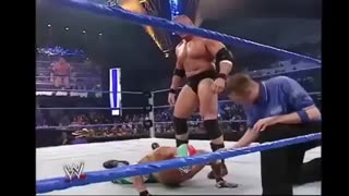 Wrestler Brock