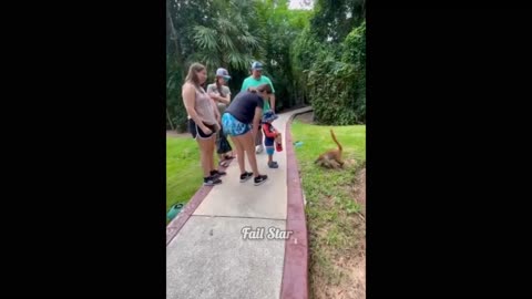 Laugh Once and You’re Done 😂 | Funniest Meme Clips (Part 2)