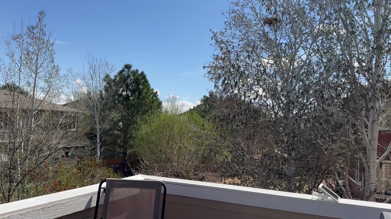A great day outside in the neighborhood