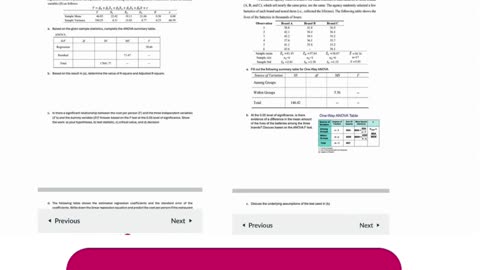 Student Work(Assignment)|2025WI Excel-Based Statistical Regression work video | UIUC