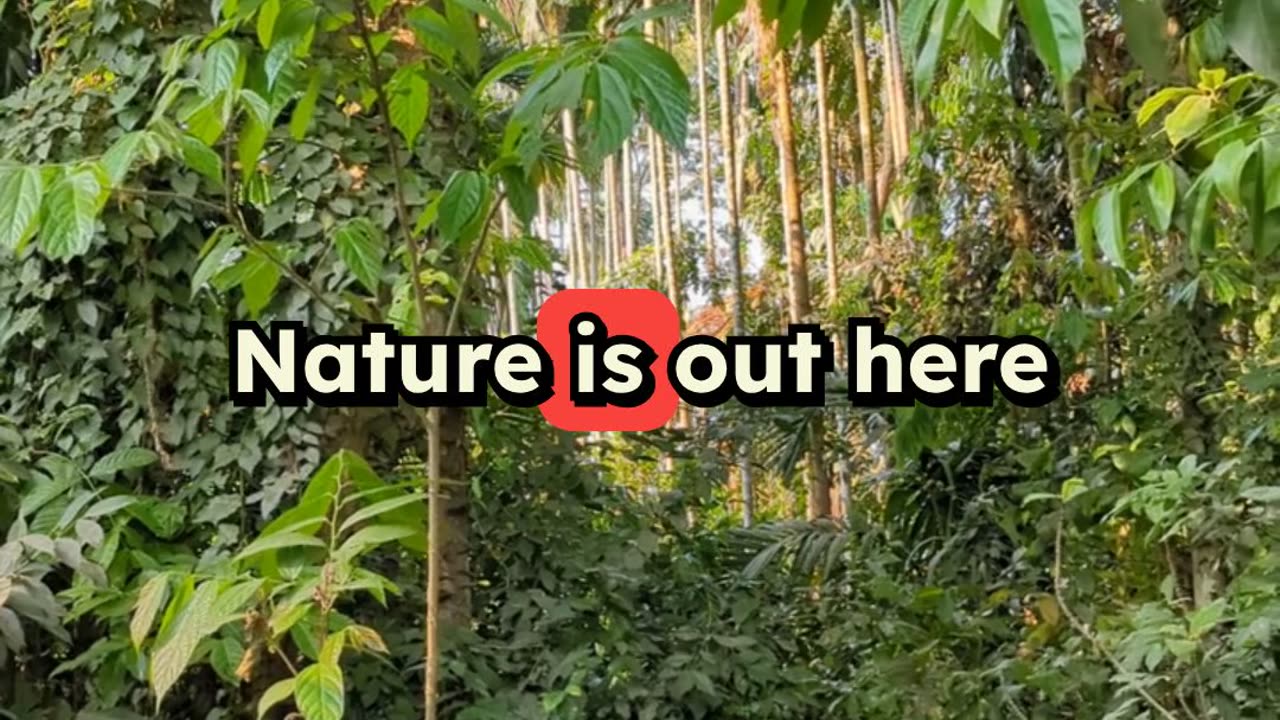 Nature's Healing Secrets Around the World